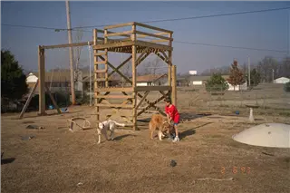 small_9400 1824 mom&dad's, via, familyIMG0080.webp